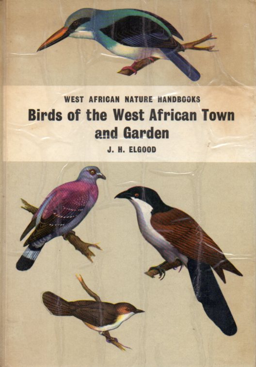 Elgood,John H.  Birds of the West African Town and Garden 
