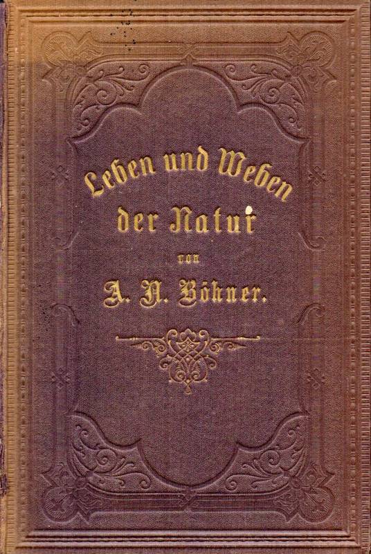 Böhner,August Nathanael  Leben und Weben der Natur 