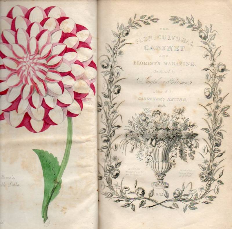 Harrison,Joseph  The Floricultural Cabinet,and Florist's Magazine 