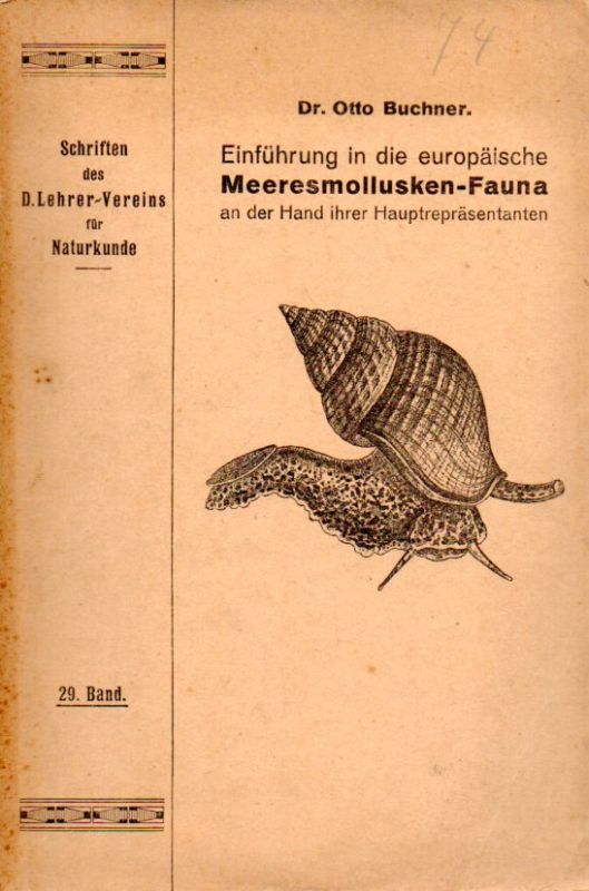 Buchner,Otto  Einführung in die europäische Meeresmollusken-Fauna 
