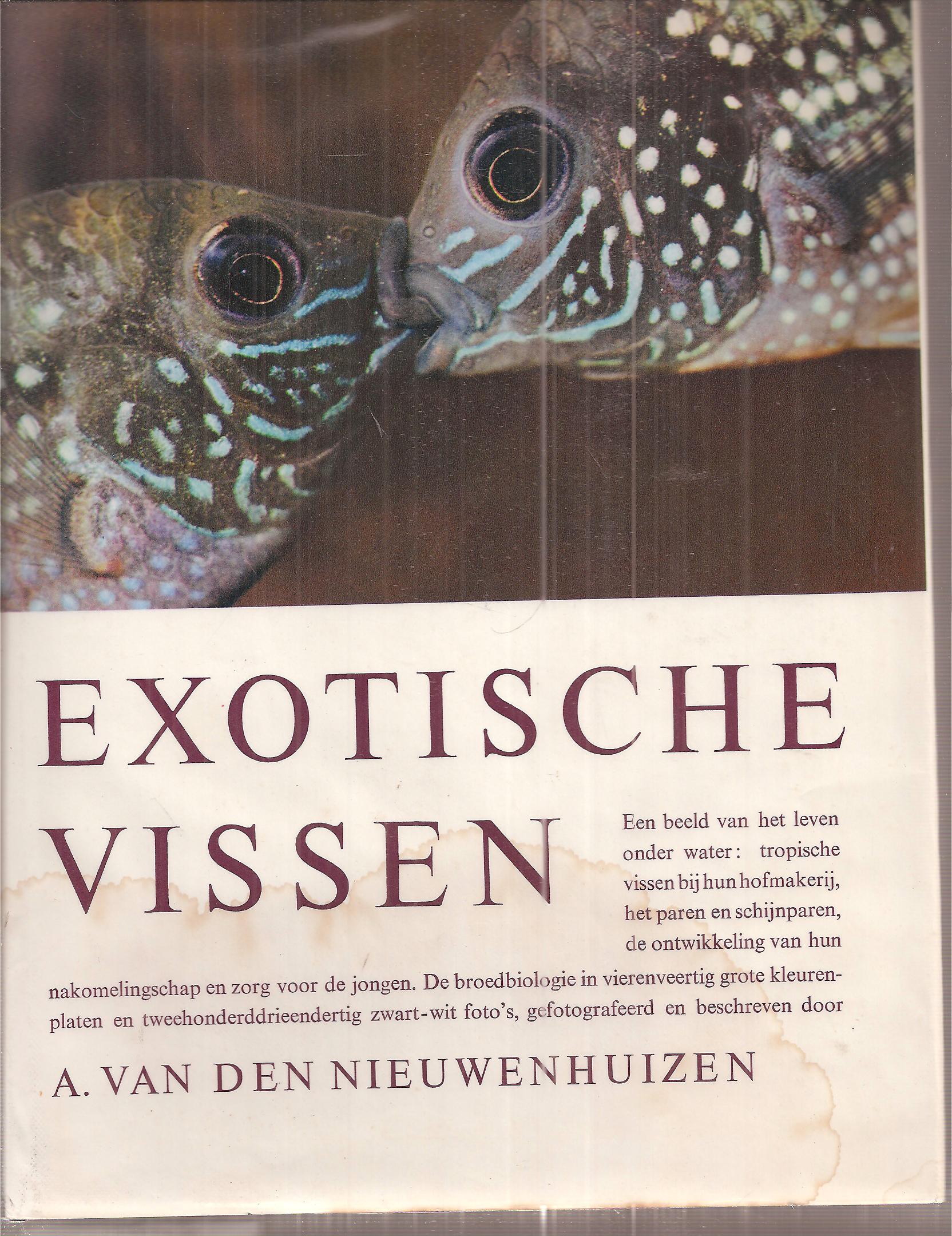 Nieuwenhuizen,A.van den  Exotische Vissen 