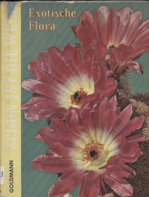 Schnack,Friedrich  Exotische Flora 