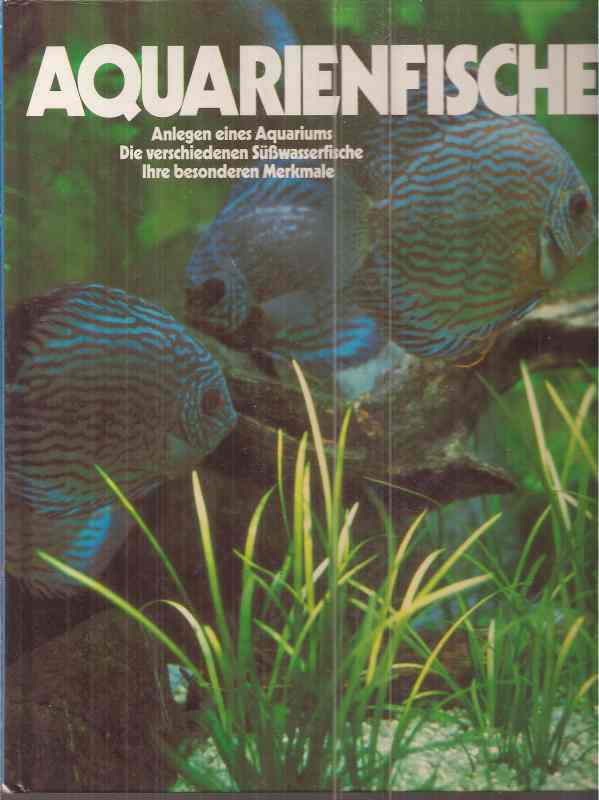 Aquarienfische  Anlegen eines Aquariums 