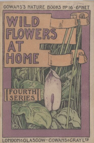 Wild Flowers at Home  Fourth Series 