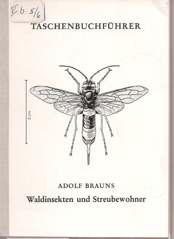 Brauns,Adolf  Waldinsekten und Streubewohner 