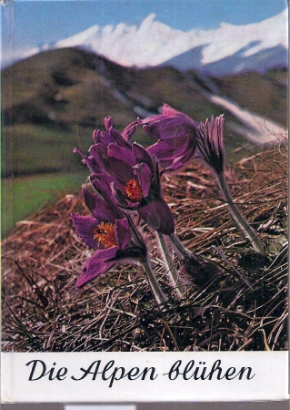 Wendelberger,Elfrune  Die Alpen blühen 
