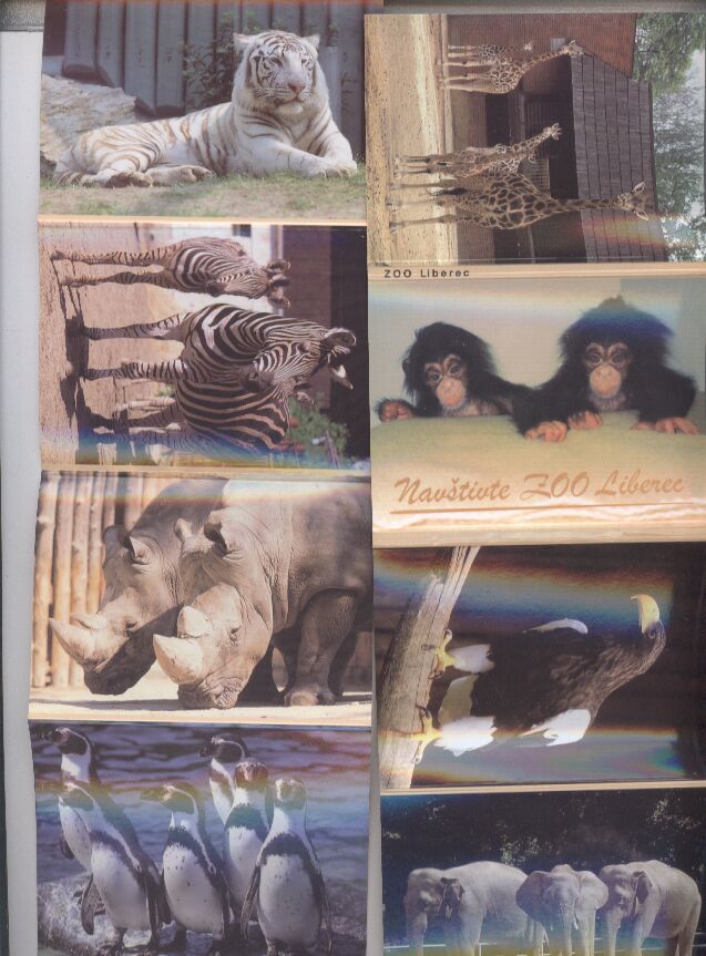 Zoo Liberec  Leporello-Album, Format:10,5x7,5cm mit 8 Farbfotos 