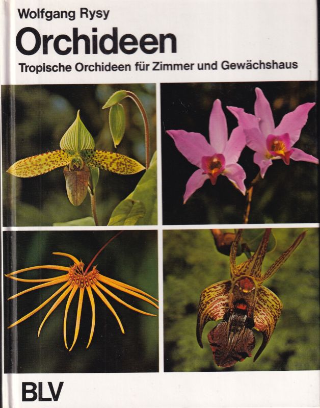 Rysy,Wolfgang  Orchideen 