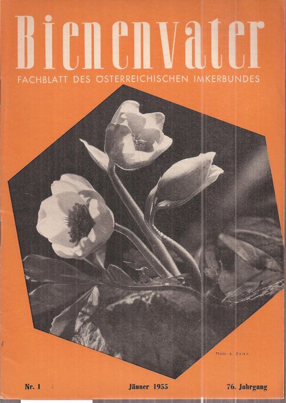 Bienenvater  Bienenvater 76.Jahrgang 1955 Heft 1 (1 Heft) 