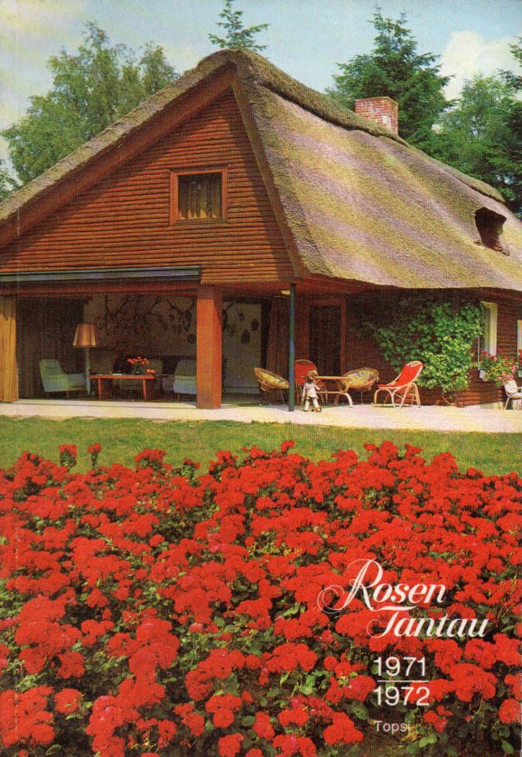 Rosen Tantau  Katalog 1971/1972 