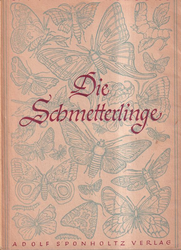 Frankenberg,G.von  Die Schmetterlinge 