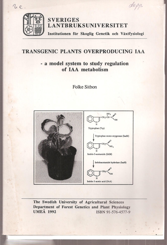Sitbon,Folke  Transgenic Plants Overproducing IAA 