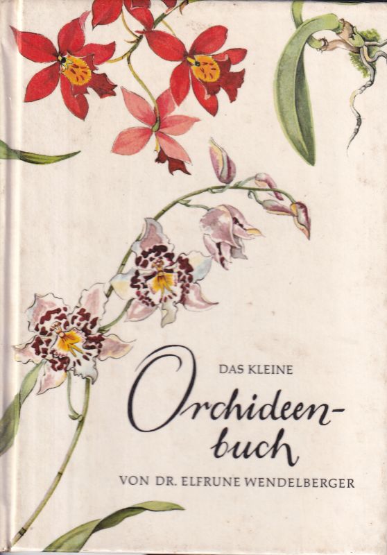 Wendelberger,Elfrune  Das kleine Orchideenbuch 