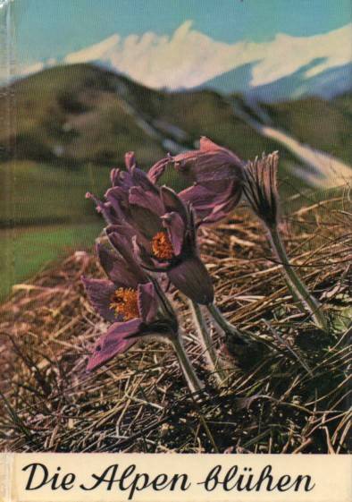 Wendelberger,Elfrune  Die Alpen blühen 