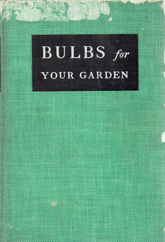 Wood,Allen H.  Bulbs for your garden 