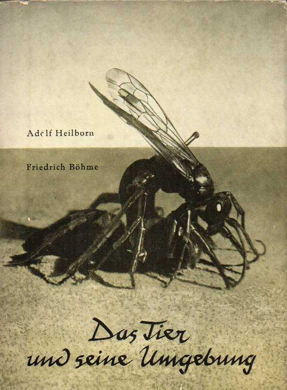 Heilborn,Adolf und Friedrich Böhme  Das Tier und seine Umgebung 