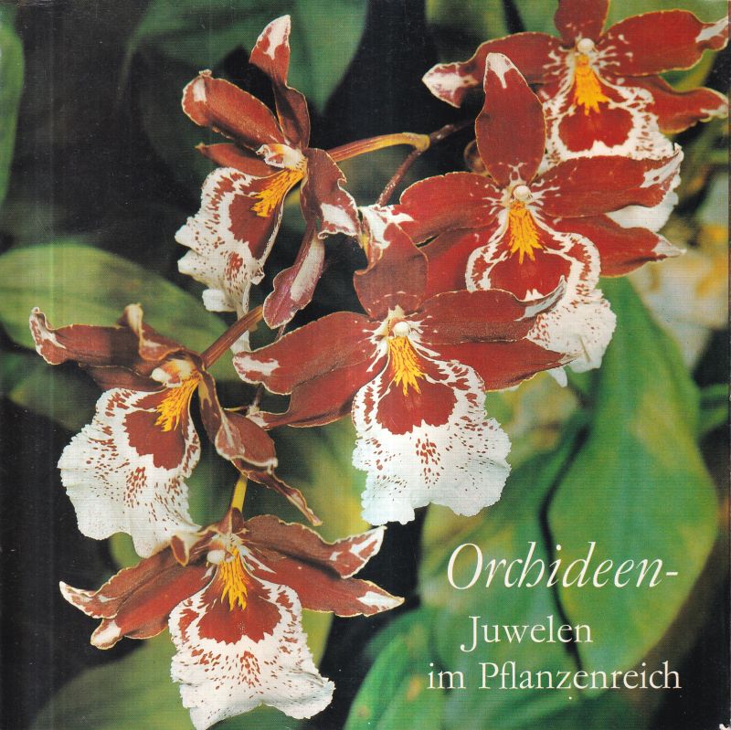 Ebel,Friedrich und Otfried Birnbaum  Orchideen - Juwelen im Pflanzenreich 