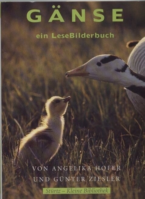 Hofer,Angelika+Günter Ziesler  Gänse ein LeseBilderbuch 