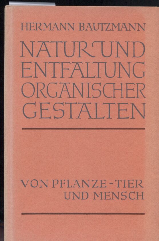 Bautzmann,Hermann  Natur und Entfaltung organischer Gestalten 