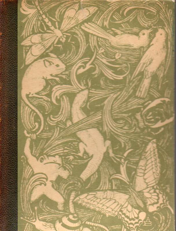 Lucanus,Friedrich von  Im Zauber des Tierlebens 