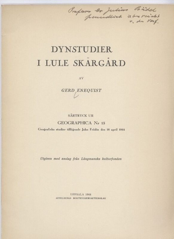 Enequist,Gerd  Dynstudier i lule Skärgard 