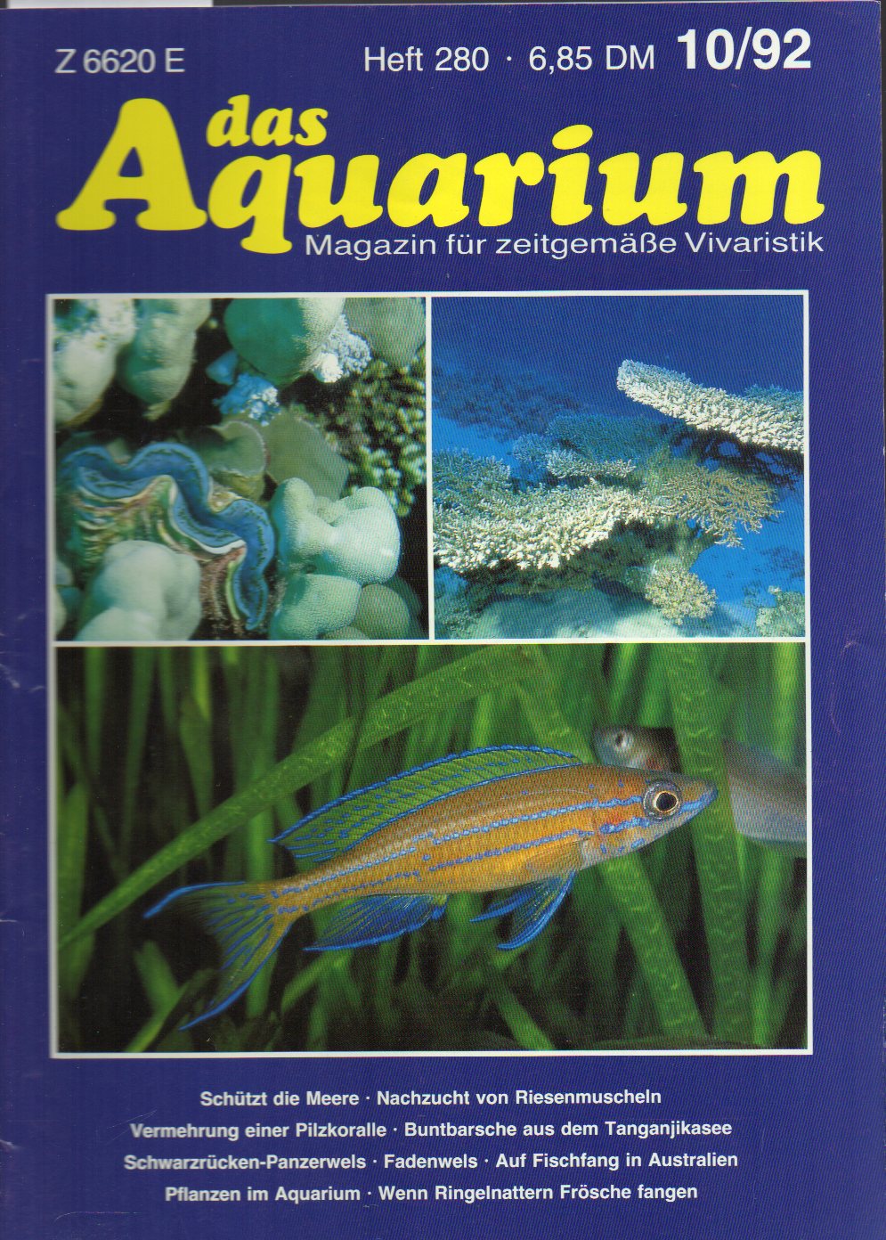 Das Aquarium  26.Jg.1992,Heft 10 