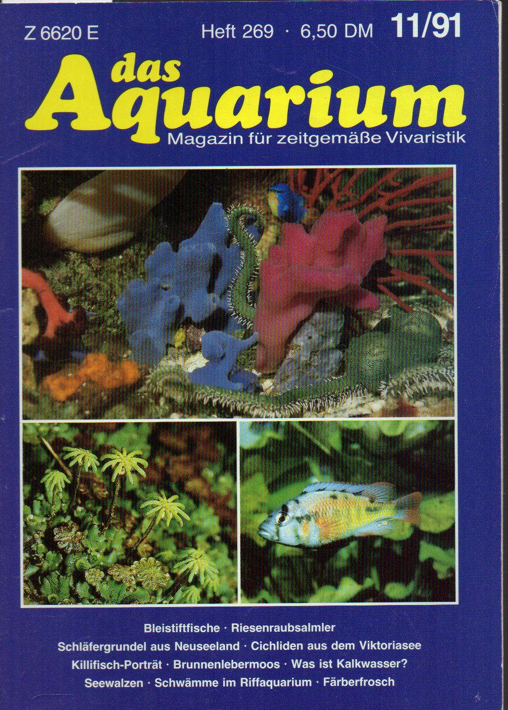 Das Aquarium  25.Jg.1991,Heft 11 