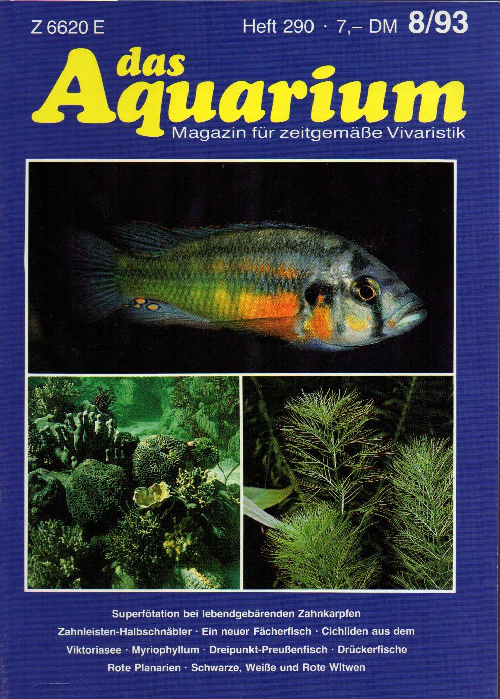 Das Aquarium  27.Jg.1993,Heft 8 