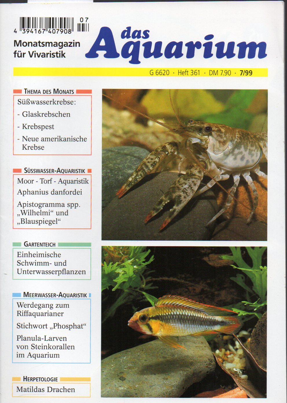 Das Aquarium  33.Jg.1999,Heft 7 