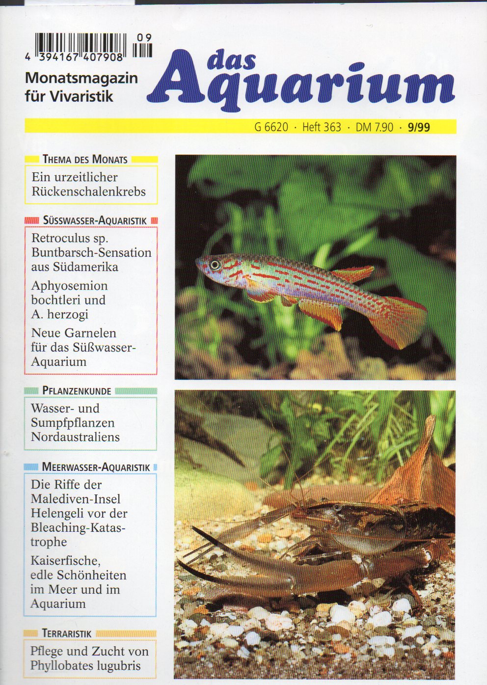 Das Aquarium  33.Jg.1999,Heft 9 