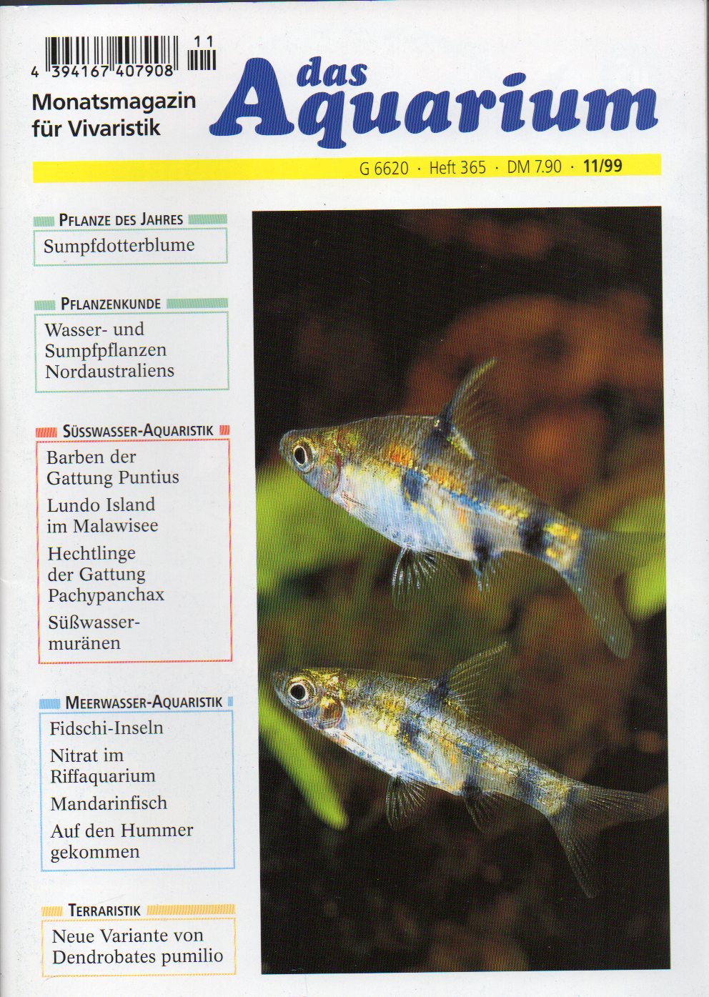 Das Aquarium  33.Jg.1999,Heft 11 