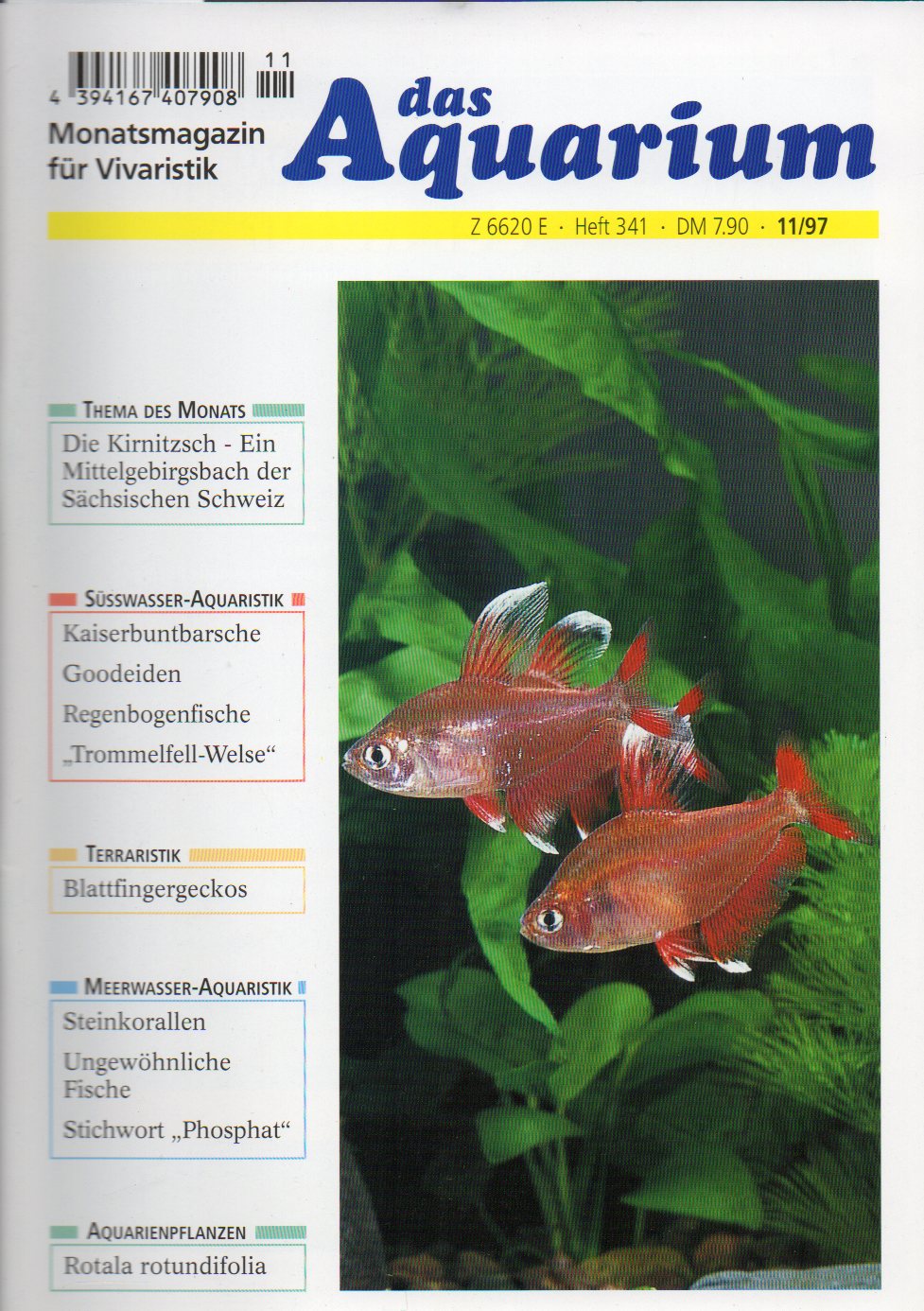 Das Aquarium  31.Jg.1997,Heft 11 