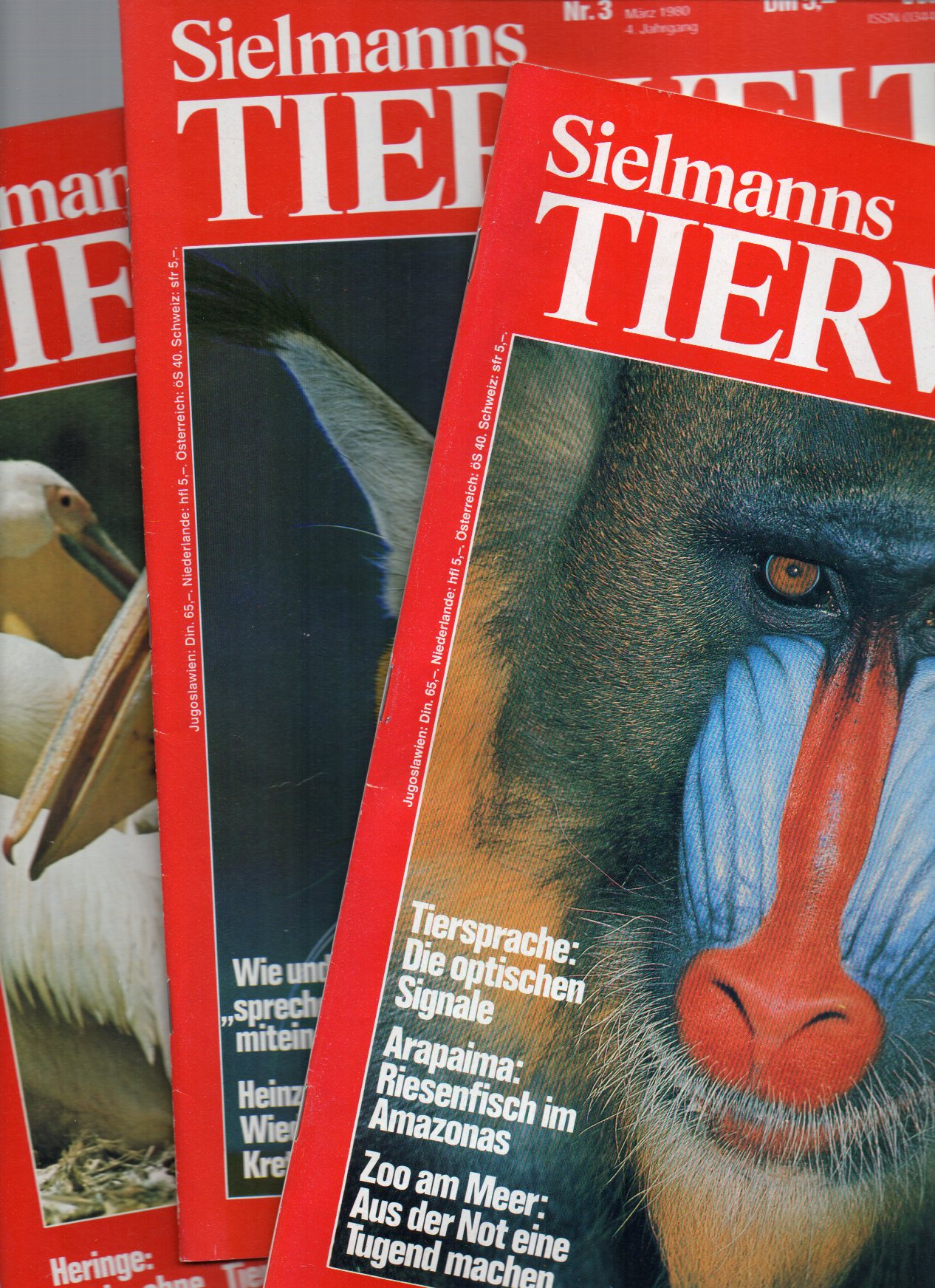 Sielmann,Heinz (Hsg.)  Sielmanns Tierwelt 4.Jahrgang 1980, Hefte Nr. 1 bis 12 (12 Hefte) 