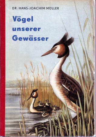 Müller,Hans Joachim  Die Vögel unserer Gewässer 