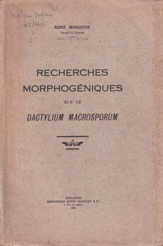 Morquer,Rene  Recherches Morphogeniques sur le Dactylium Macrosporum 