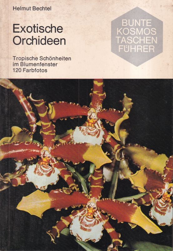 Bechtel,Helmut  Exotische Orchideen 
