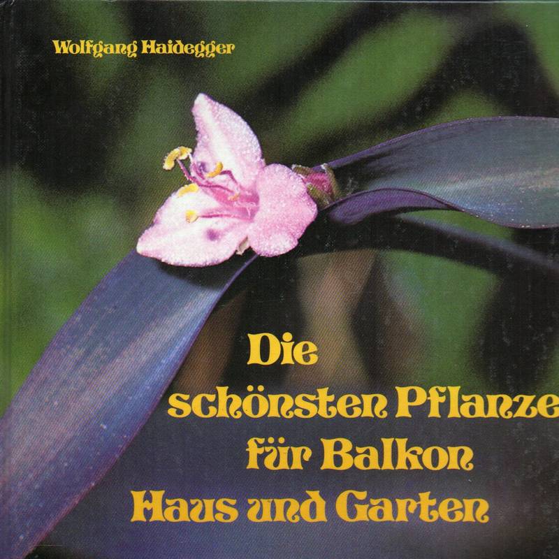 Haidegger,Wolfgang  Die schönsten Pflanzen für Balkon, Haus und Garten 