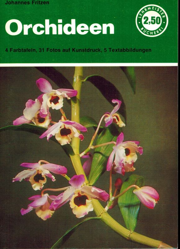 Fritzen,Johannes  Orchideen 