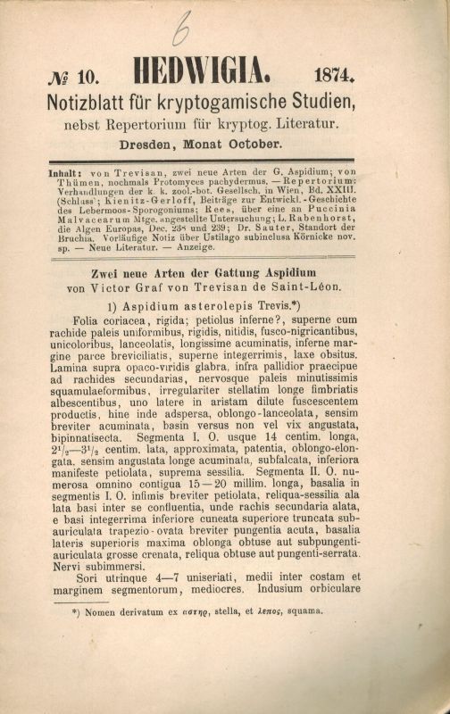 Rabenhorst,L.  Hedwigia Jahr 1874 Heft 10 und 12 (2 Hefte) 