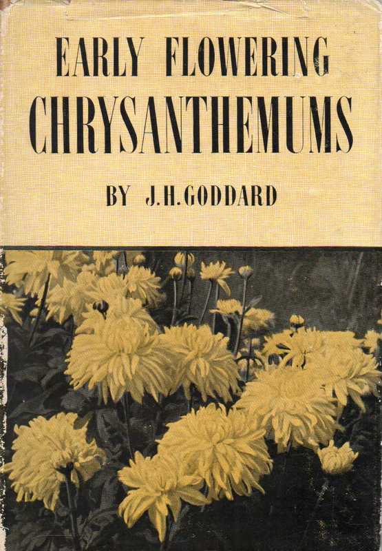 Goddard.J.H.  Early - Flowering Chrysanthemums 