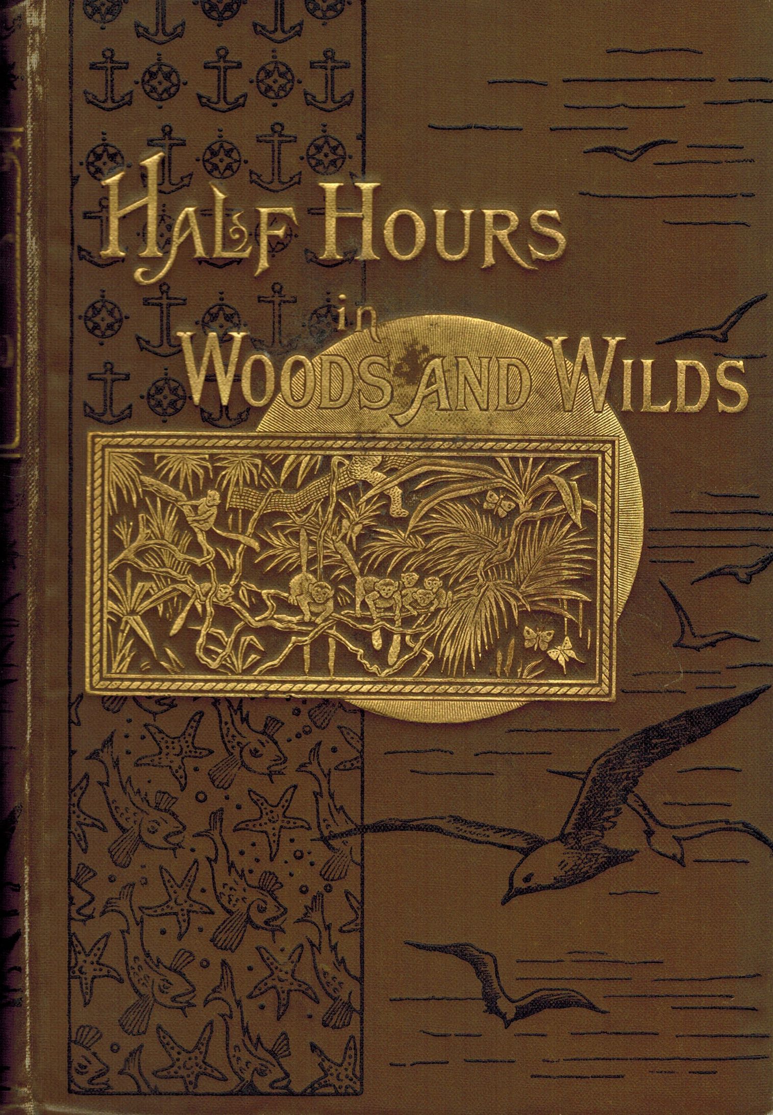 The Half Hour Library  Half Hours in woods and wilds 