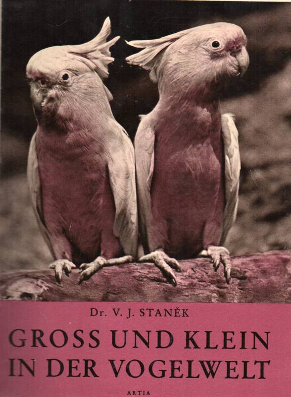 Stanek,V.J.  Groß und klein in der Vogelwelt 