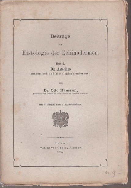 Hamann,Otto  Beiträge zur Histologie der Echinodermen Heft 2 Die Asteriden 