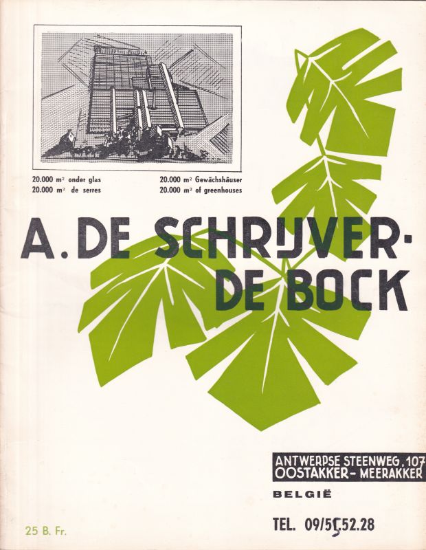 A. de Schryver - De Bock  Grünpflanzen für jede Gelegenheit 