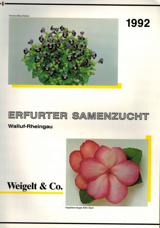 Erfurter Samenzucht Weigelt und Co.  Erfurter Samenzucht Hauptkatalog 1992 