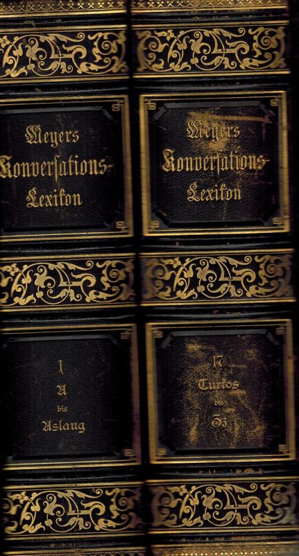 Meyers Konversations-Lexikon  Meyers Konversations-Lexikon Band 1 bis 17 (17 Bände) 