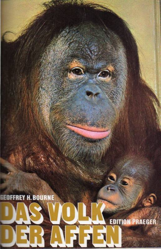 Bourne,Geoffrey H.  Das Volk der Affen 