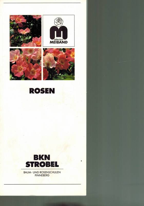 BKN Strobel (Hsg.)  Rosen Katalog Mai 1991 