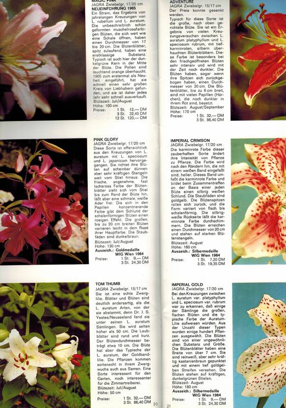 Hoch,Albrecht (Hsg.)  Pflanzenkataloge Frühjahr 1969, Frühjahr 1970 