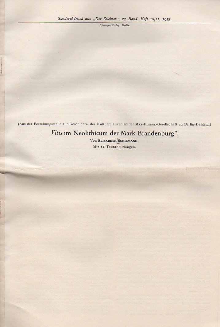 Schiemann,Elisabeth  Vitis im Neolithicum der Mark Brandenburg 
